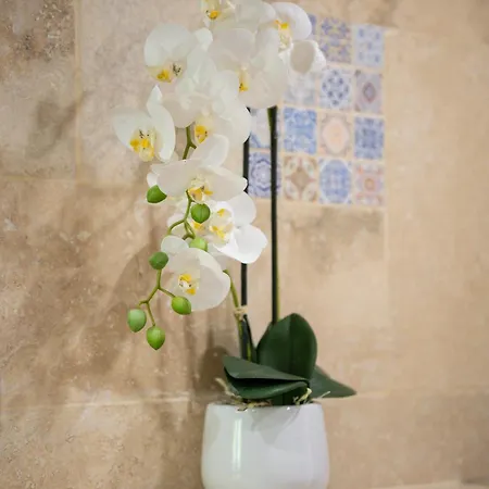 La Ferme Saint-antoine 公寓