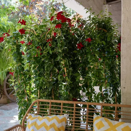 Apartment La Ferme Saint-antoine Gassin